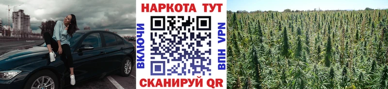 Где найти наркотики Олонец Кокаин Меф мяу мяу Метадон МАРИХУАНА Alpha-PVP Галлюциногенные грибы