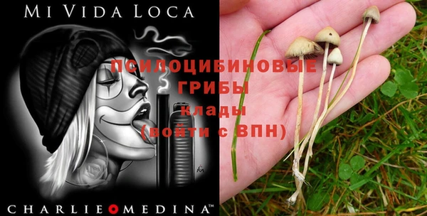 бошки Алексин