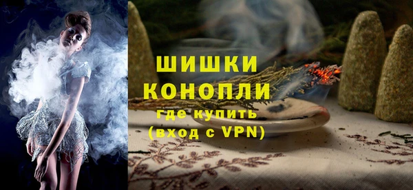 бошки Алексин
